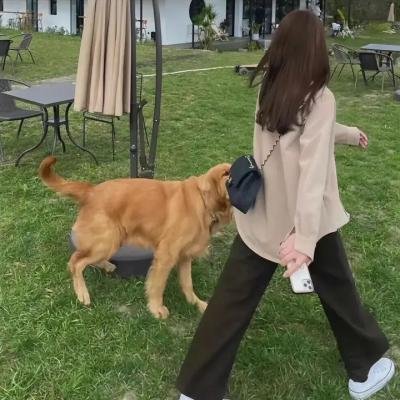 双侠